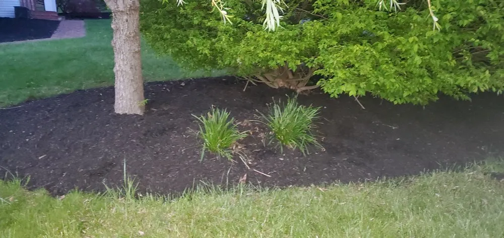 Trusted lawn care service experts serving Pearl River, NY - KAK Property Maintenance