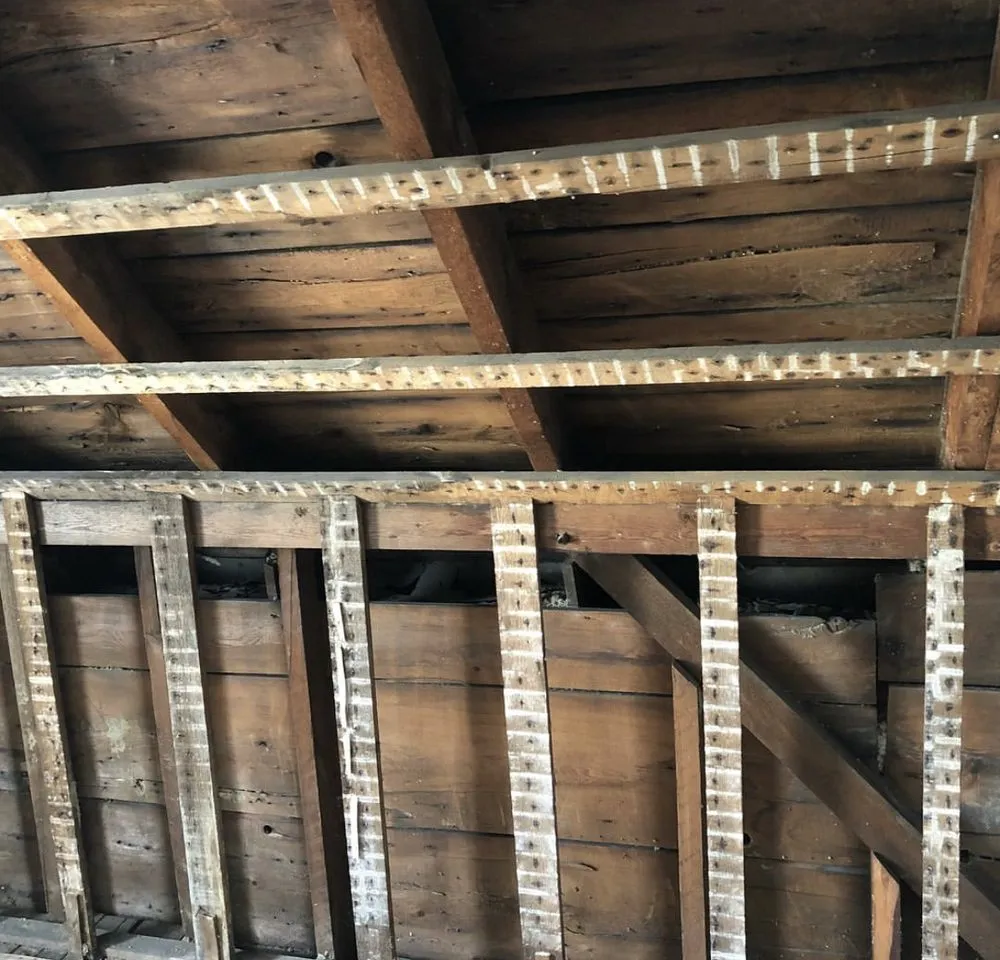 Professional lawn mowing service for homes across Chelmsford, MA - Kakis Restoration