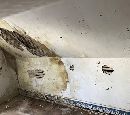 Kakis Restoration Logo