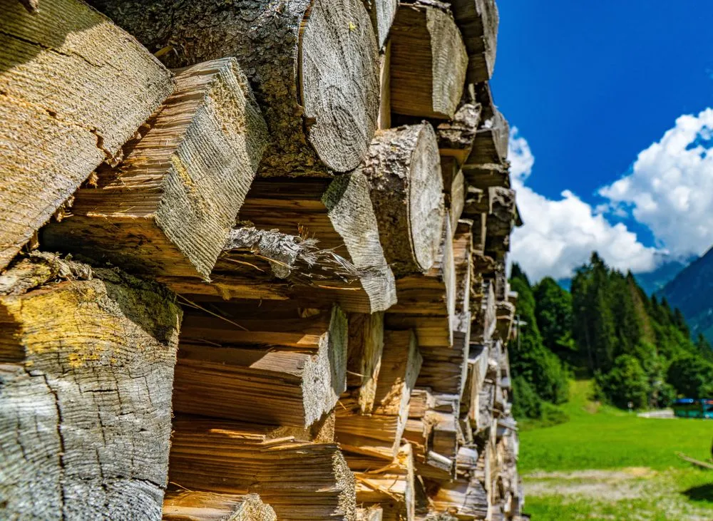 Custom landscaping services in Kalama, WA - Kalama Yard & Home