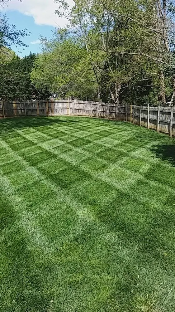 Trusted landscape installation in Pineville, NC - Kale Lawn Care