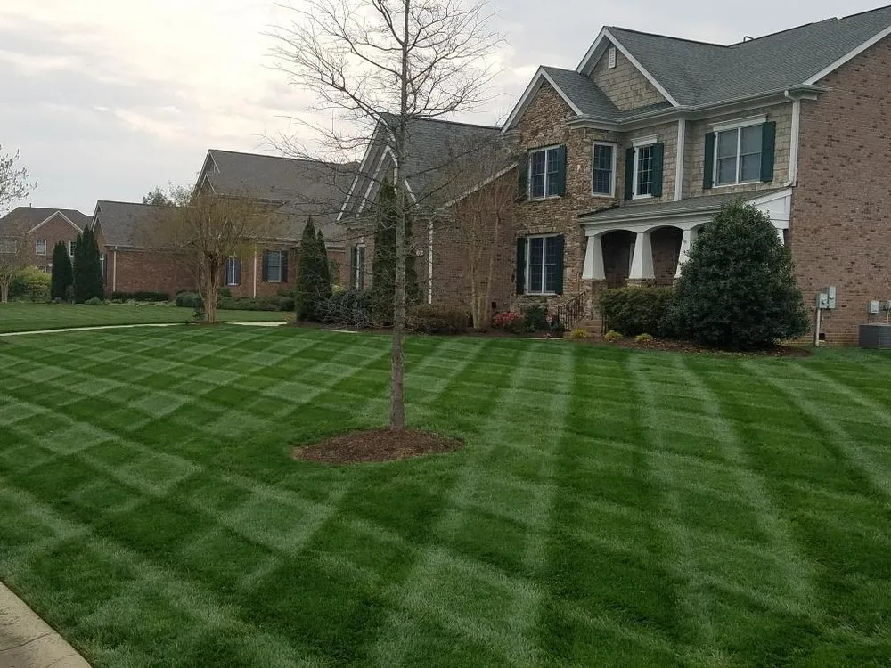 Top-rated lawn care service with custom design in Pineville, NC by Kale Lawn Care