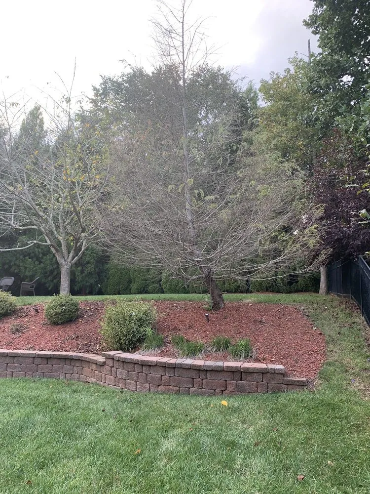 Reliable residential landscaping for outdoor upgrades across Pineville, NC - Kale Lawn Care