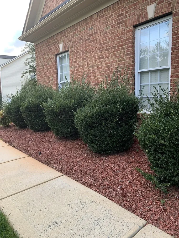 Local outdoor landscaping near you across Pineville, NC - Kale Lawn Care