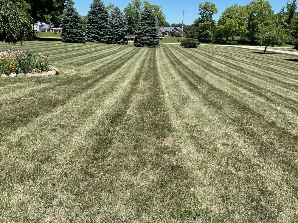 Top-rated landscape installation for homes in Elsie, MI by Kaleb’s Lawn Care
