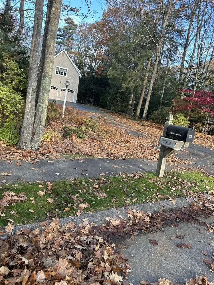 Top-rated yard cleanup service for residential properties in Westbrook, ME by Kaleb’s Property Services