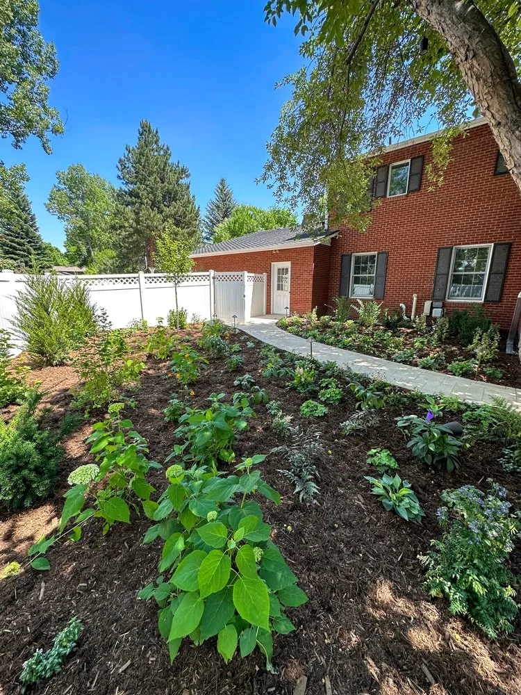 Affordable lawn care service for residential properties across Fort Collins, CO - Kaleidoscape