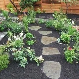 Professional residential landscaping experts serving Shoreline, WA - Kaleidoscope