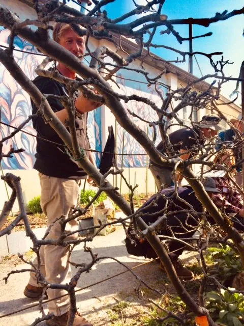 Top-rated lawn mowing service in Shoreline, WA by Kaleidoscope