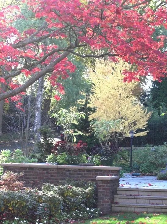 Local garden landscaping for year-round maintenance across Shoreline, WA - Kaleidoscope