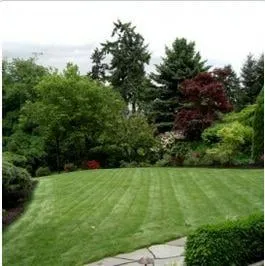 Professional landscaping services in Shoreline, WA by Kaleidoscope