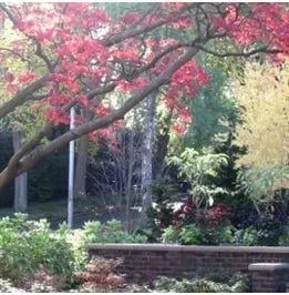 Custom garden landscaping experts serving Shoreline, WA - Kaleidoscope