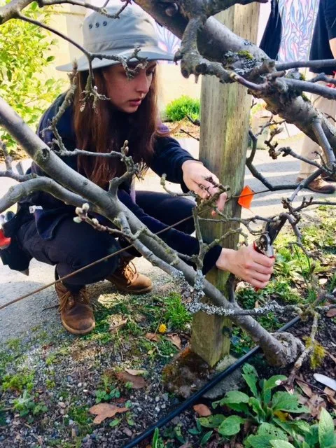 Expert outdoor landscaping in Shoreline, WA by Kaleidoscope