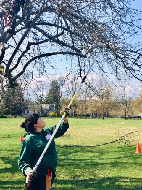 Custom landscape design in Shoreline, WA by Kaleidoscope