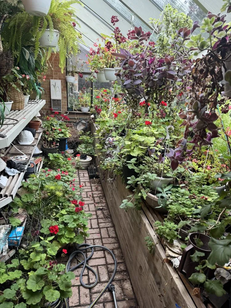 Top-rated yard cleanup service experts serving Chelsea, MI - Kalen’s Mowing and Yard Services