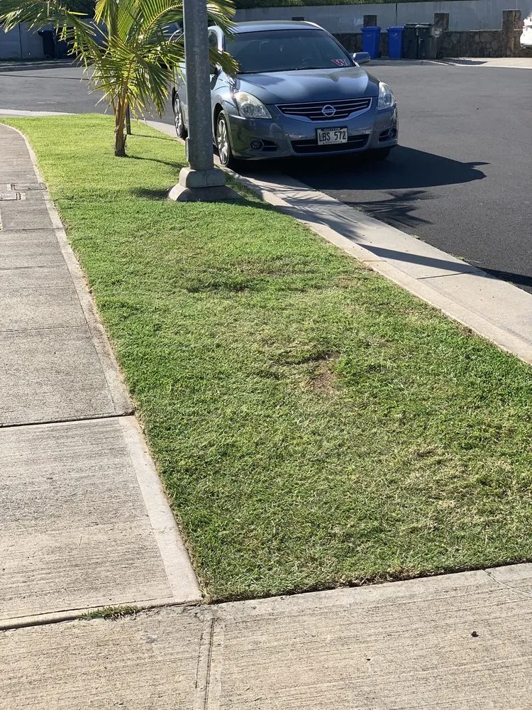 Expert yard cleanup service experts serving Waianae, HI - Kaleo’s Lawn Care Services