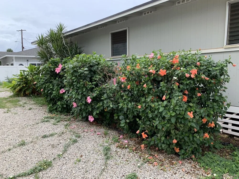 Trusted landscape design near you across Waianae, HI - Kaleo’s Lawn Care Services