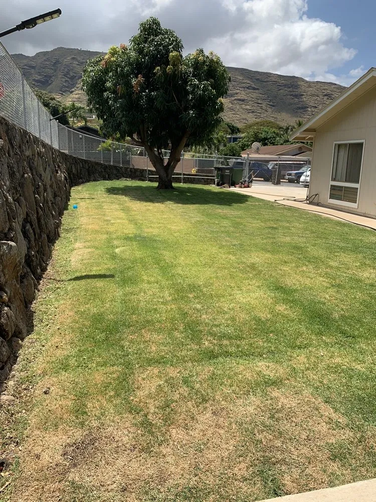 Expert yard maintenance in Waianae, HI by Kaleo’s Lawn Care Services