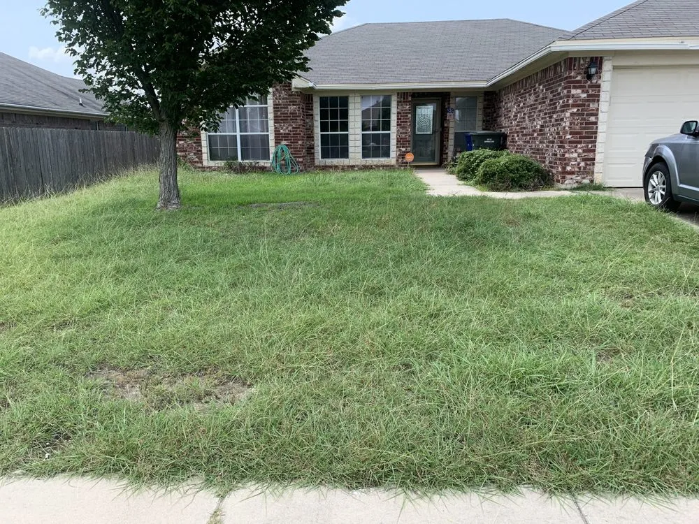 Affordable outdoor landscaping in Copperas Cove, TX by Kaleo's Quality Home Improvment And Curb Appeal