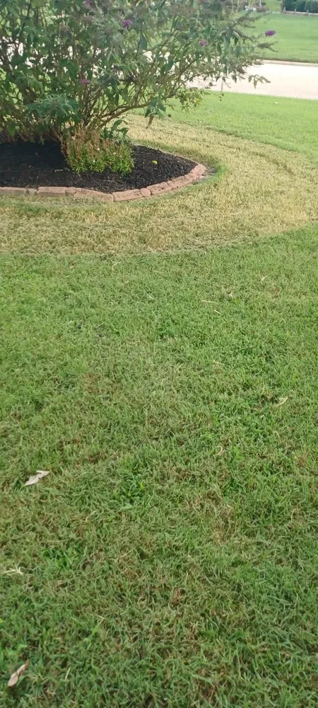 Custom yard maintenance in Richmond, VA - Kali landscaping services