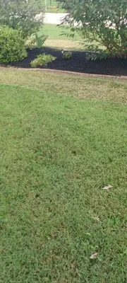 Kali landscaping services Logo