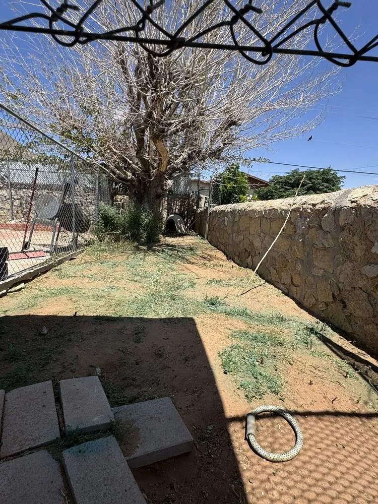 Professional yard cleanup service in El Paso, TX - Kalimbas Landscaping Service