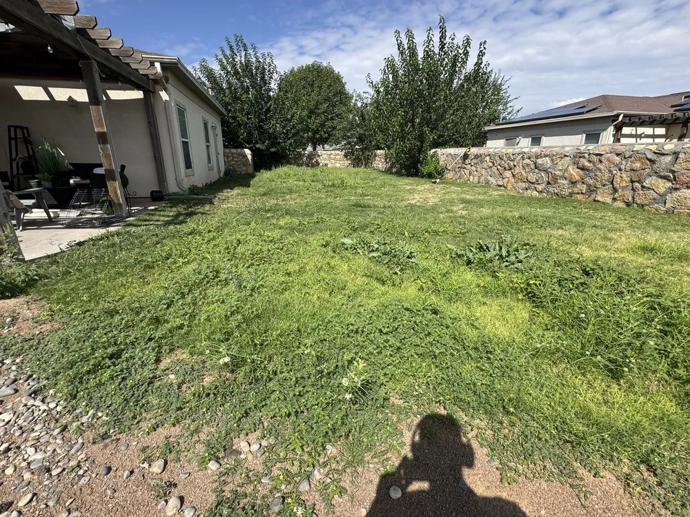 Professional garden landscaping experts serving El Paso, TX - Kalimbas Landscaping Service