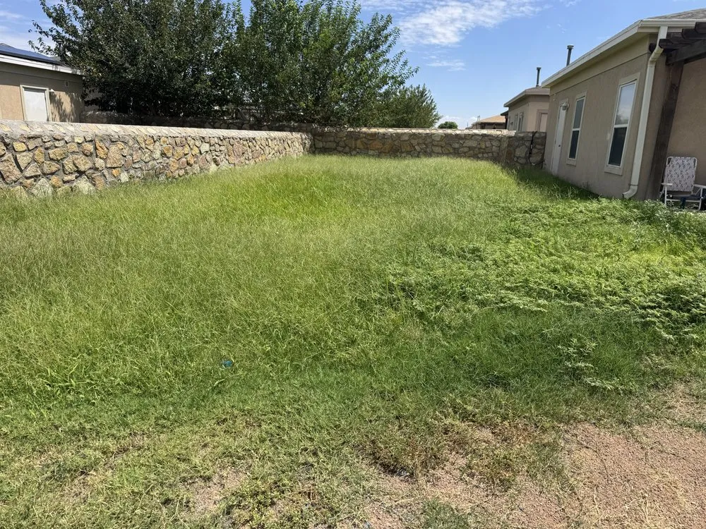 Reliable landscape installation experts serving El Paso, TX - Kalimbas Landscaping Service