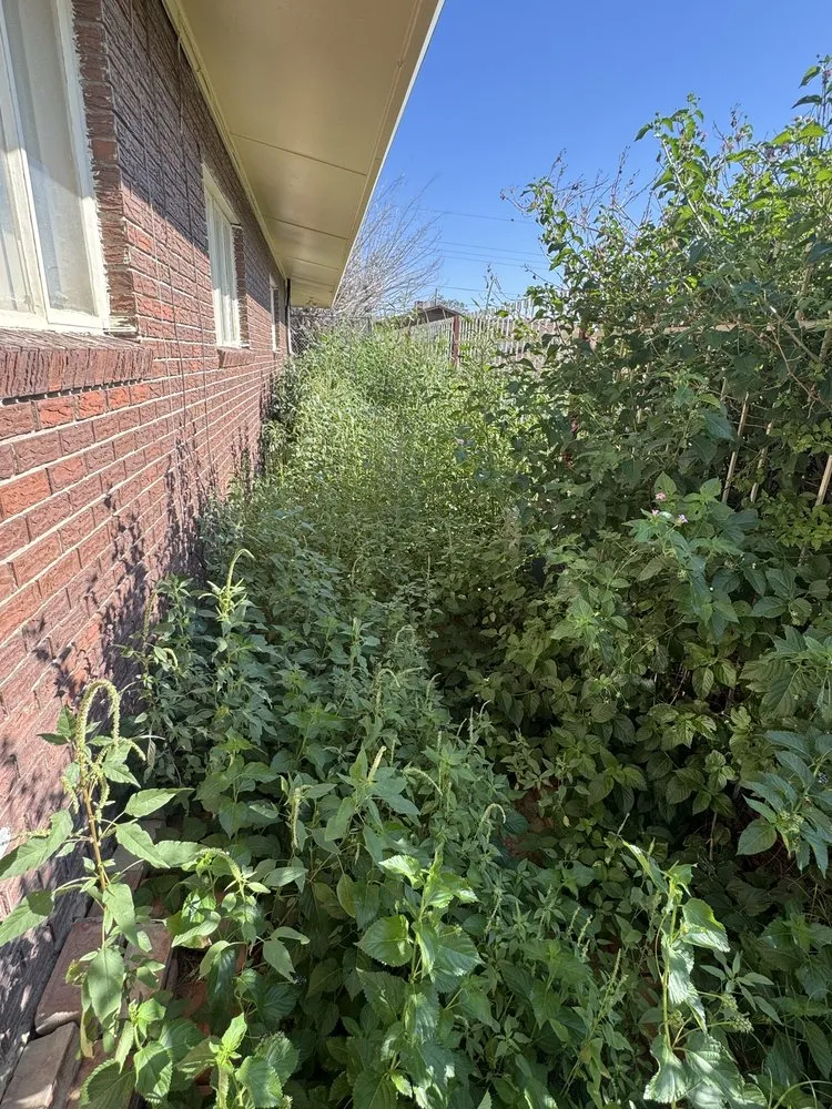 Trusted outdoor landscaping in El Paso, TX - Kalimbas Landscaping Service