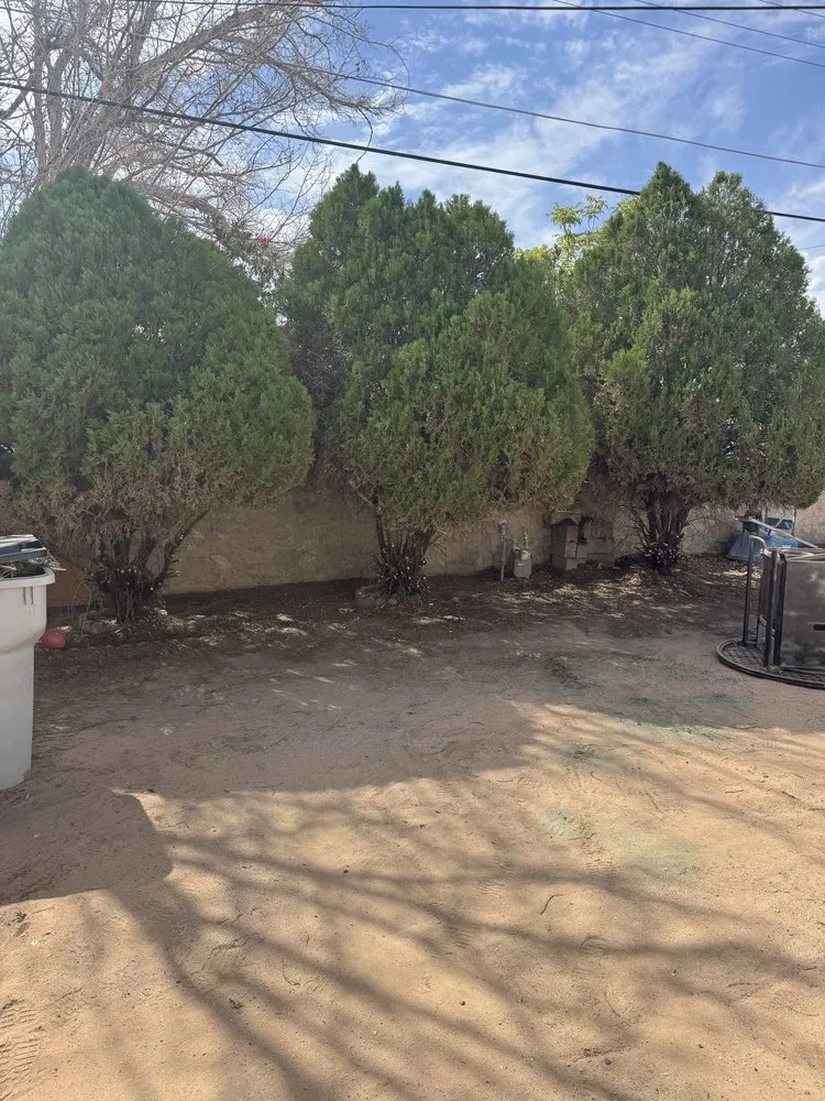 Local landscape design in El Paso, TX - Kalimbas Landscaping Service