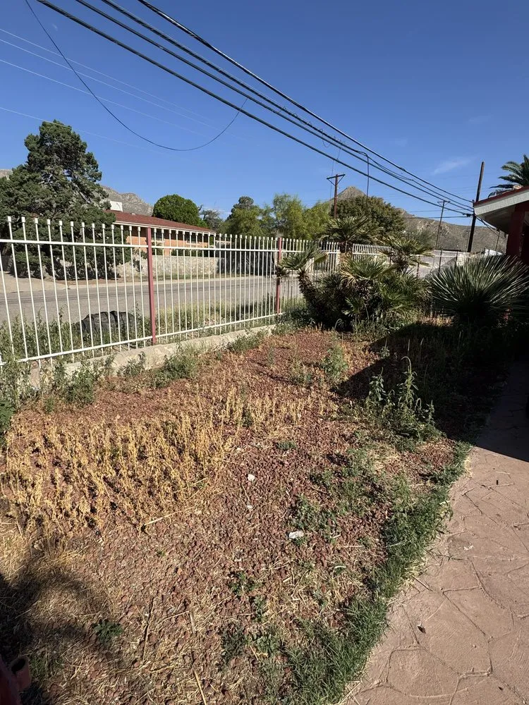 Affordable yard maintenance in El Paso, TX by Kalimbas Landscaping Service