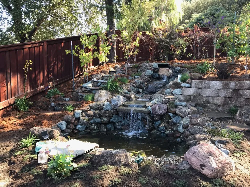 Affordable yard maintenance in Felton, CA by Kalinex Landscaping