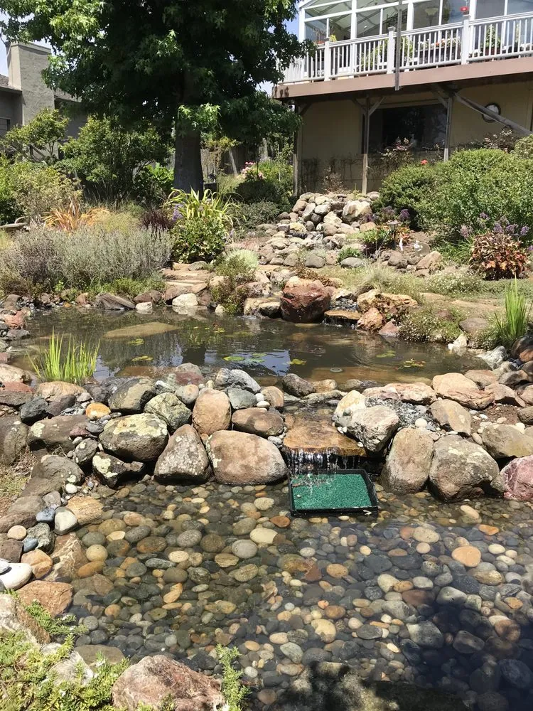 Local yard maintenance in Felton, CA - Kalinex Landscaping