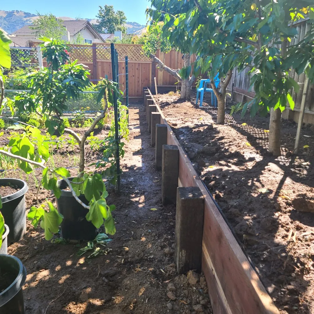 Professional yard cleanup service in Sacramento, CA - Kalis Landscape Management