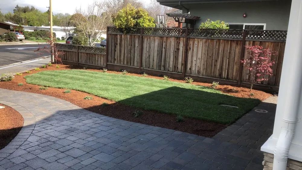 Reliable yard cleanup service experts serving Sacramento, CA - Kalis Landscape Management