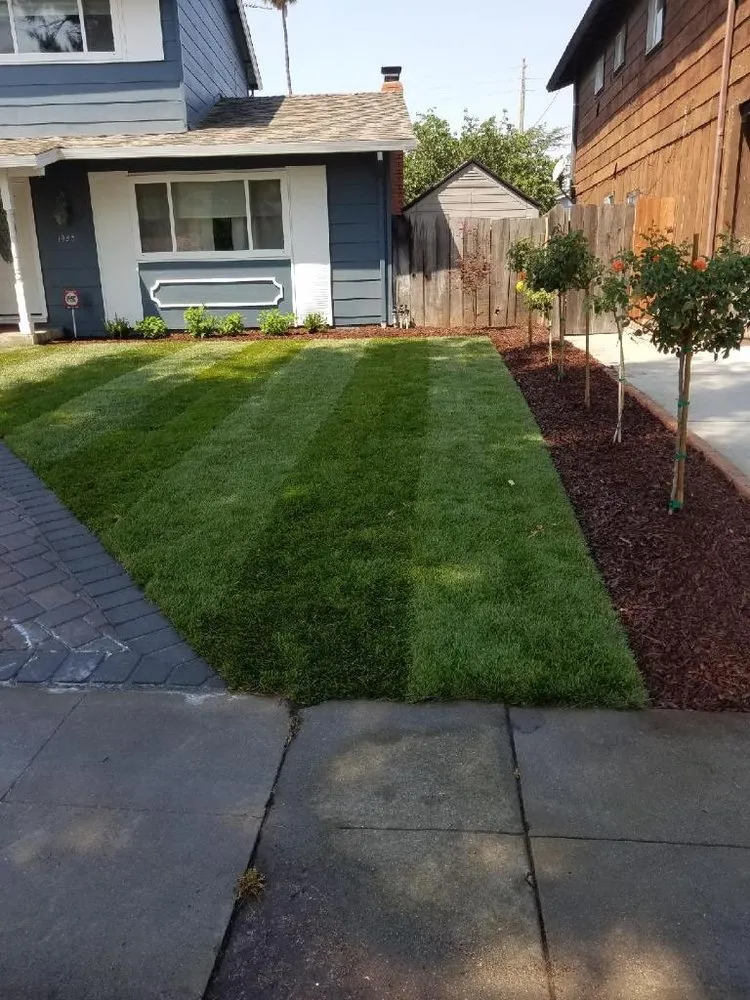 Top-rated yard maintenance experts serving Sacramento, CA - Kalis Landscape Management