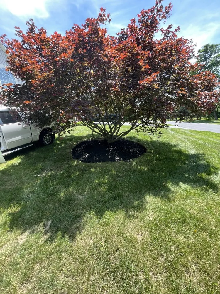 Reliable landscape installation in Falling Waters, WV by Kallas Landscaping