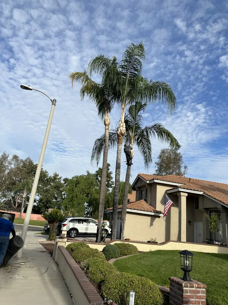 Local outdoor landscaping experts serving Fontana, CA - Kallileah Landscape