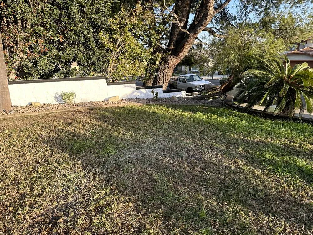 Custom residential landscaping with custom design across Fontana, CA - Kallileah Landscape