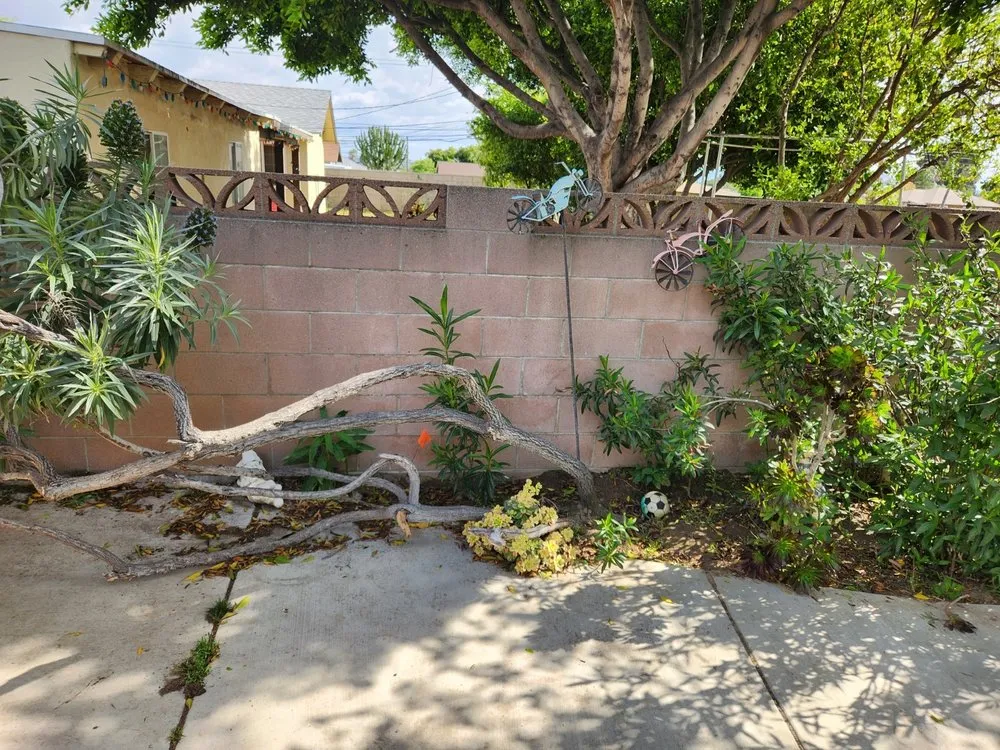 Custom landscaping services in Fontana, CA by Kallileah Landscape