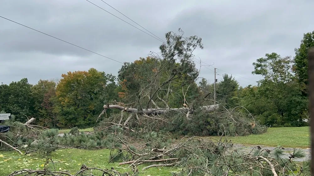 Affordable landscape design in Endicott, NY by Kalman Contracting