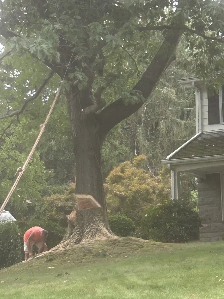 Expert landscaping services for beautiful yards in Endicott, NY by Kalman Contracting