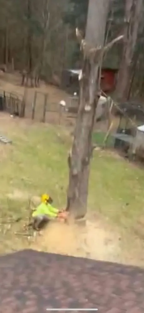 Expert landscape design in Endicott, NY - Kalman Contracting