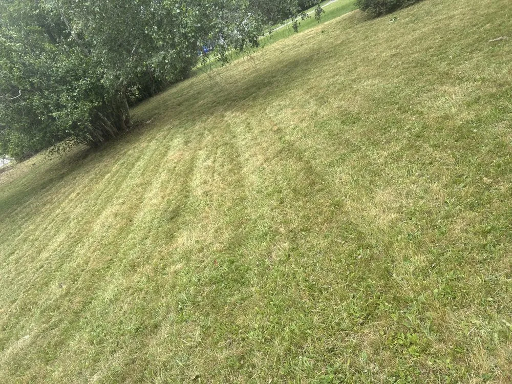 Reliable yard maintenance in Endicott, NY by Kalman Contracting