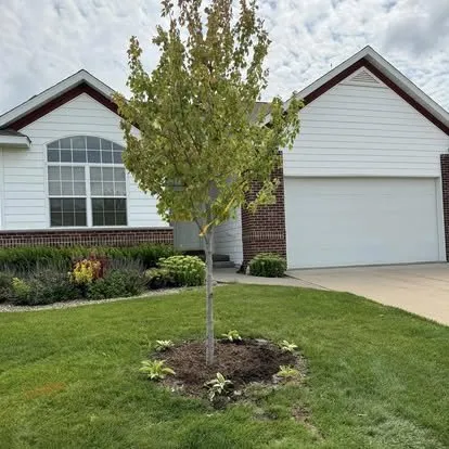 Expert landscaping services in Wellman, IA by Kalonial Lawn Care