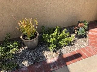 Affordable landscape design for beautiful yards across Ventura, CA - Kalorama Landscape