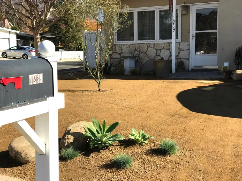 Top-rated yard cleanup service experts serving Ventura, CA - Kalorama Landscape