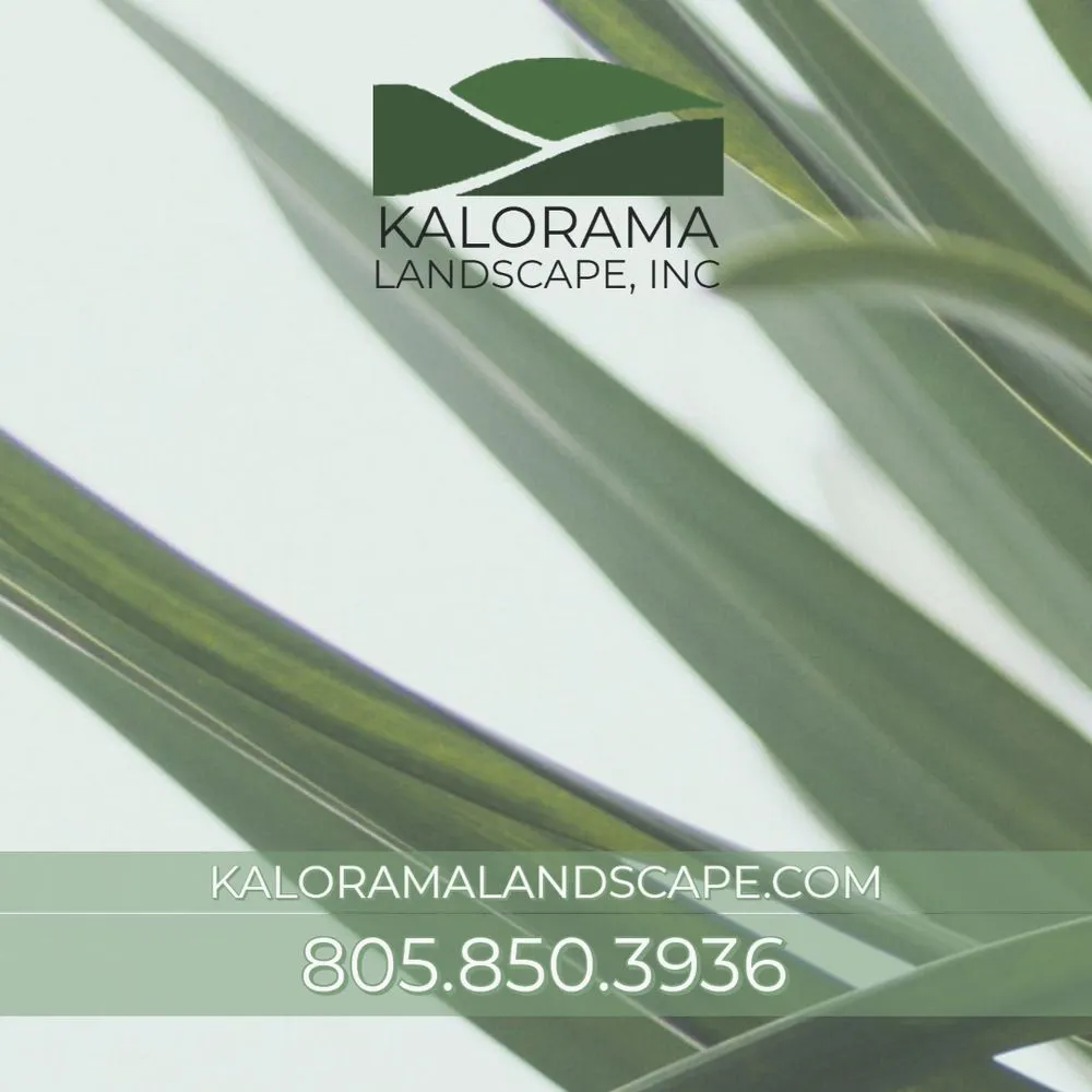 Custom landscape installation in Ventura, CA by Kalorama Landscape