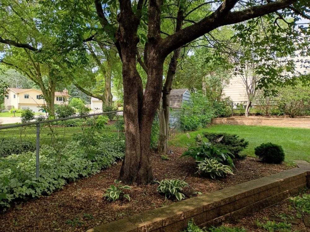 Trusted yard maintenance in Rochester, MN by Kalos Lawn Care