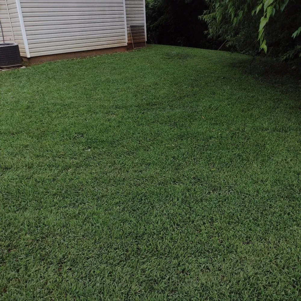 Trusted residential landscaping experts serving Hampton, GA - Kam-Jay Lawn Care